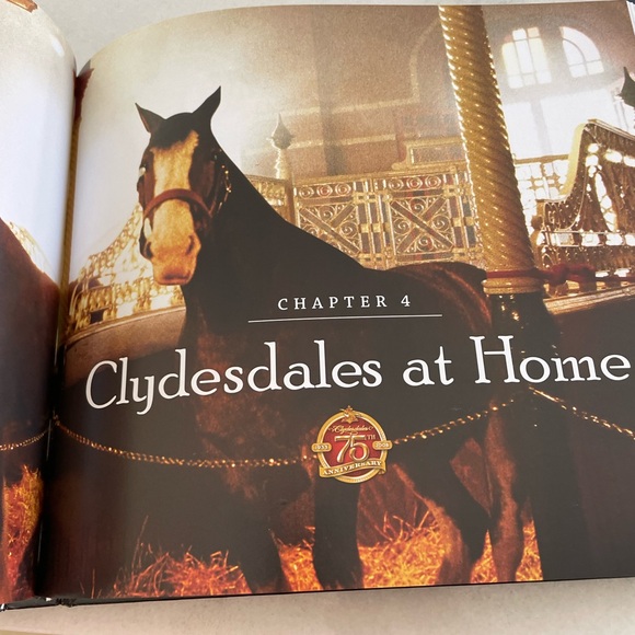 Budweiser Coffee Table Book - The Great American Tradition - Picture 10 of 15